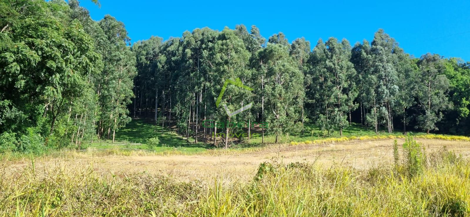 Gabeira Imveis em Coronel Vivida PR