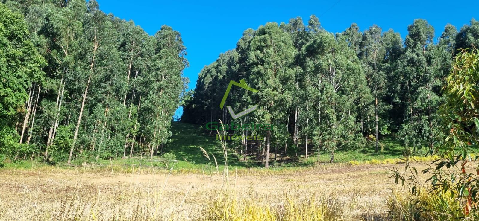 Gabeira Imveis em Coronel Vivida PR