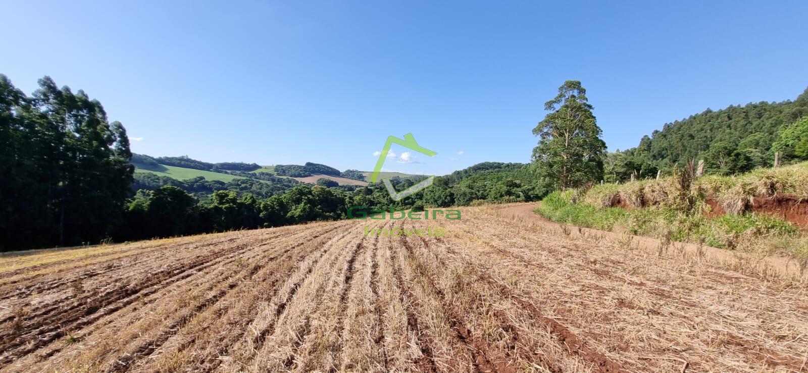 Gabeira Imveis em Coronel Vivida PR