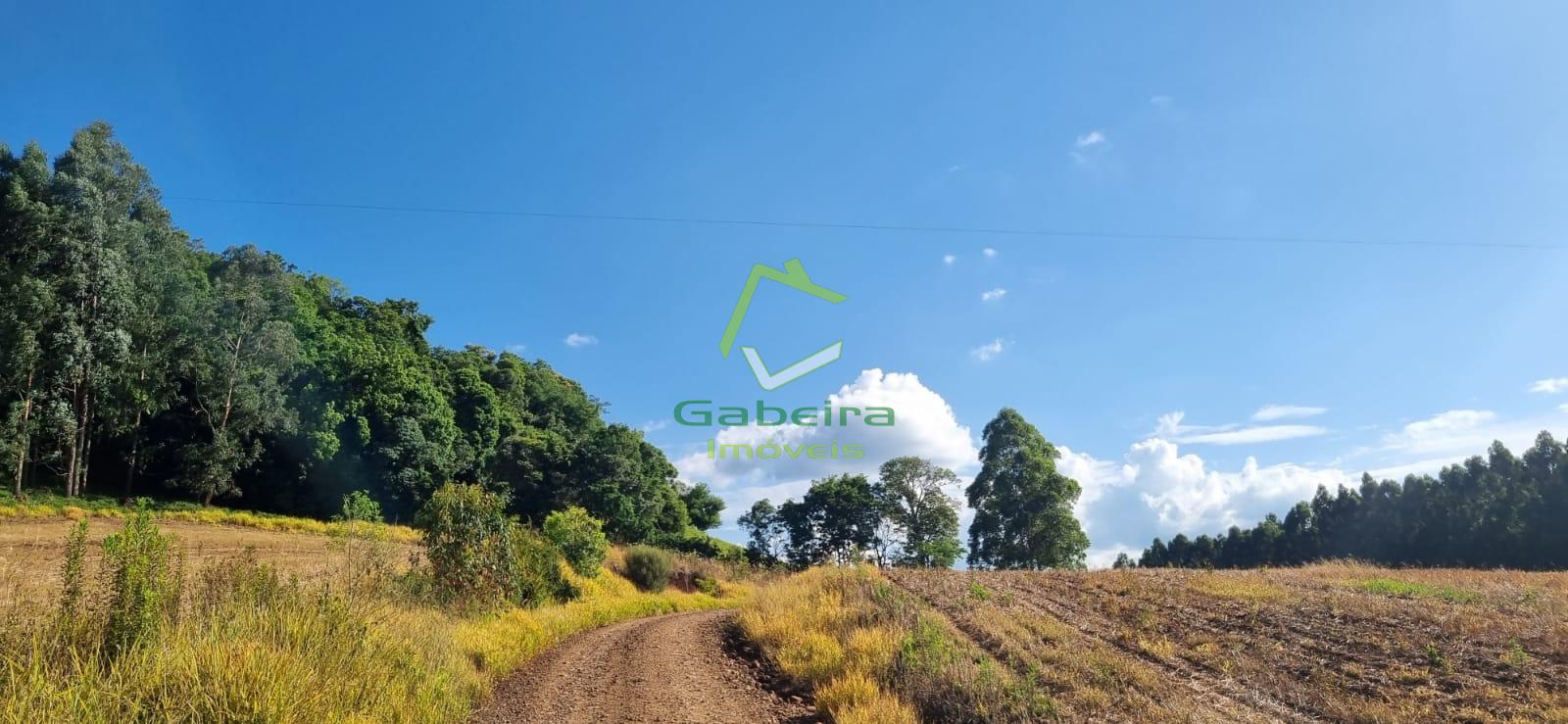 Gabeira Imveis em Coronel Vivida PR