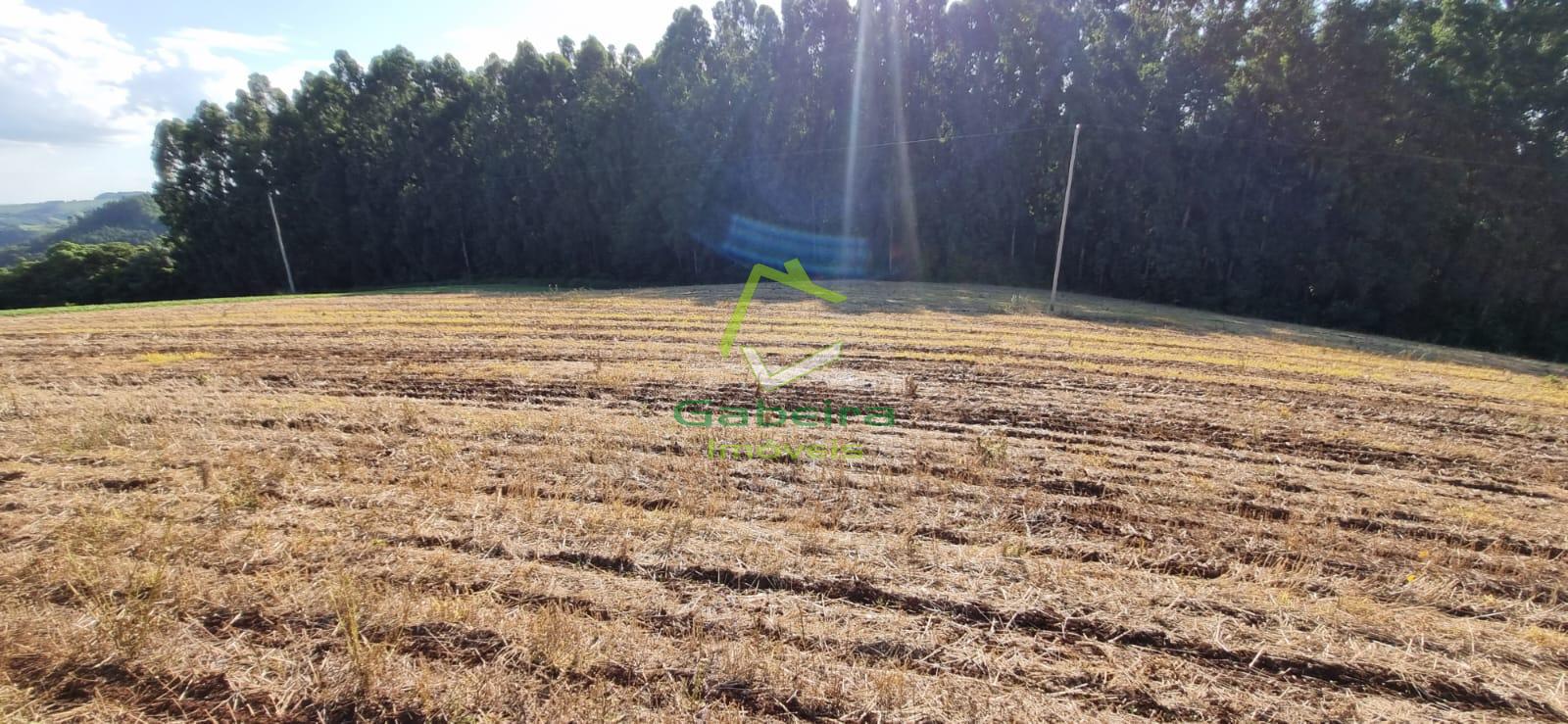 Gabeira Imveis em Coronel Vivida PR
