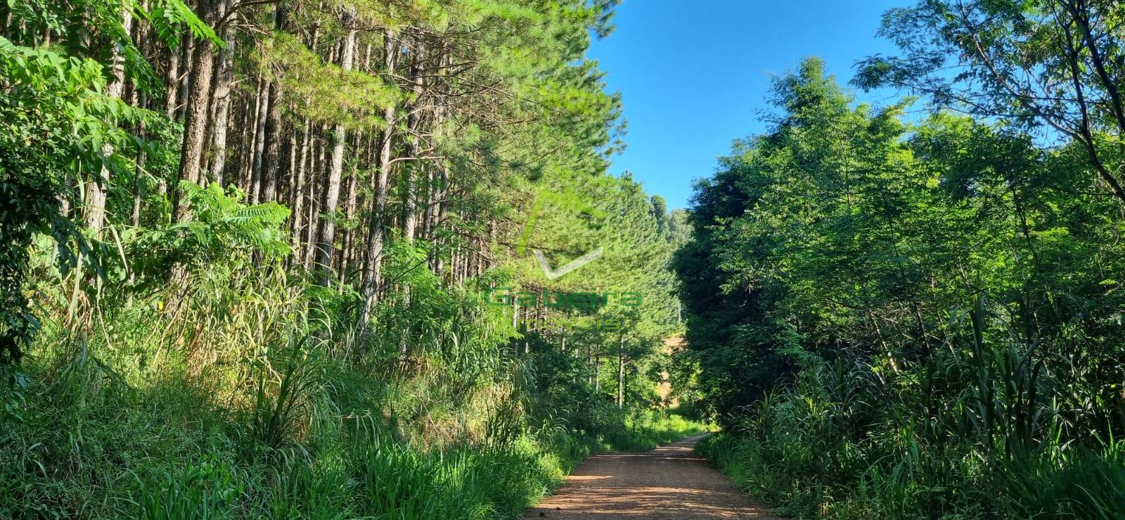 Gabeira Imveis em Coronel Vivida PR