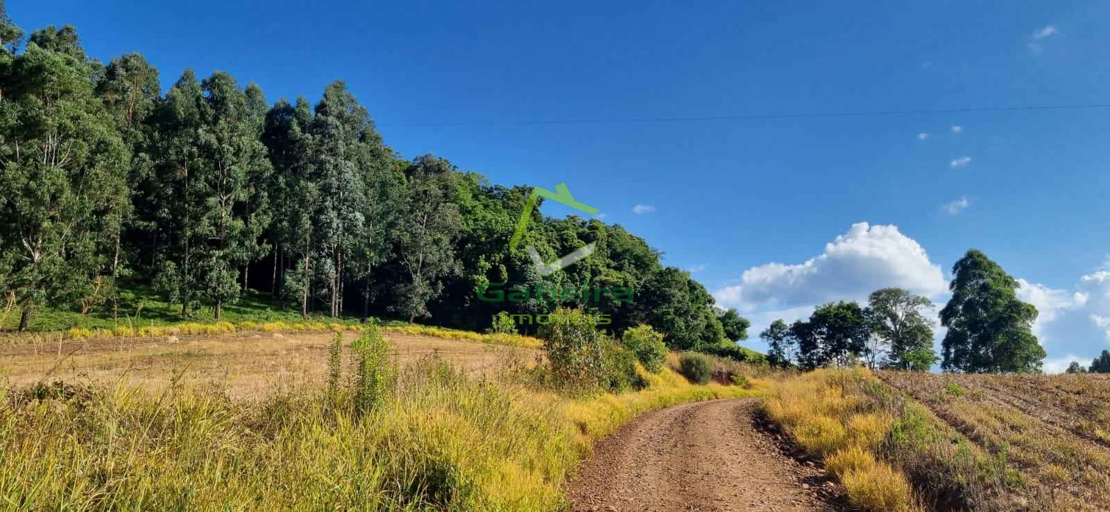 Gabeira Imveis em Coronel Vivida PR