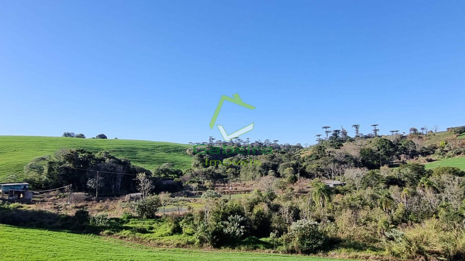 Gabeira Imveis em Coronel Vivida PR