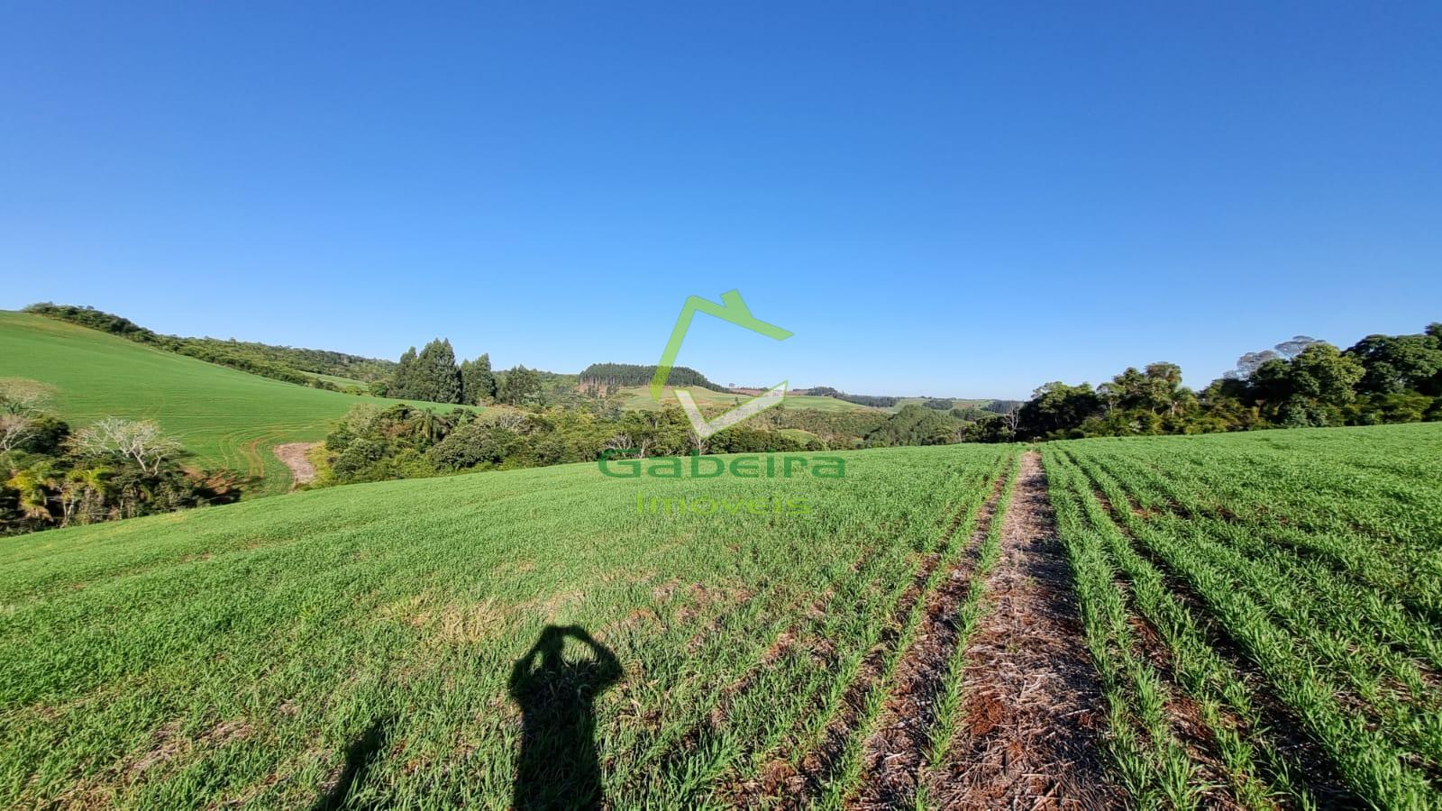 Gabeira Imveis em Coronel Vivida PR