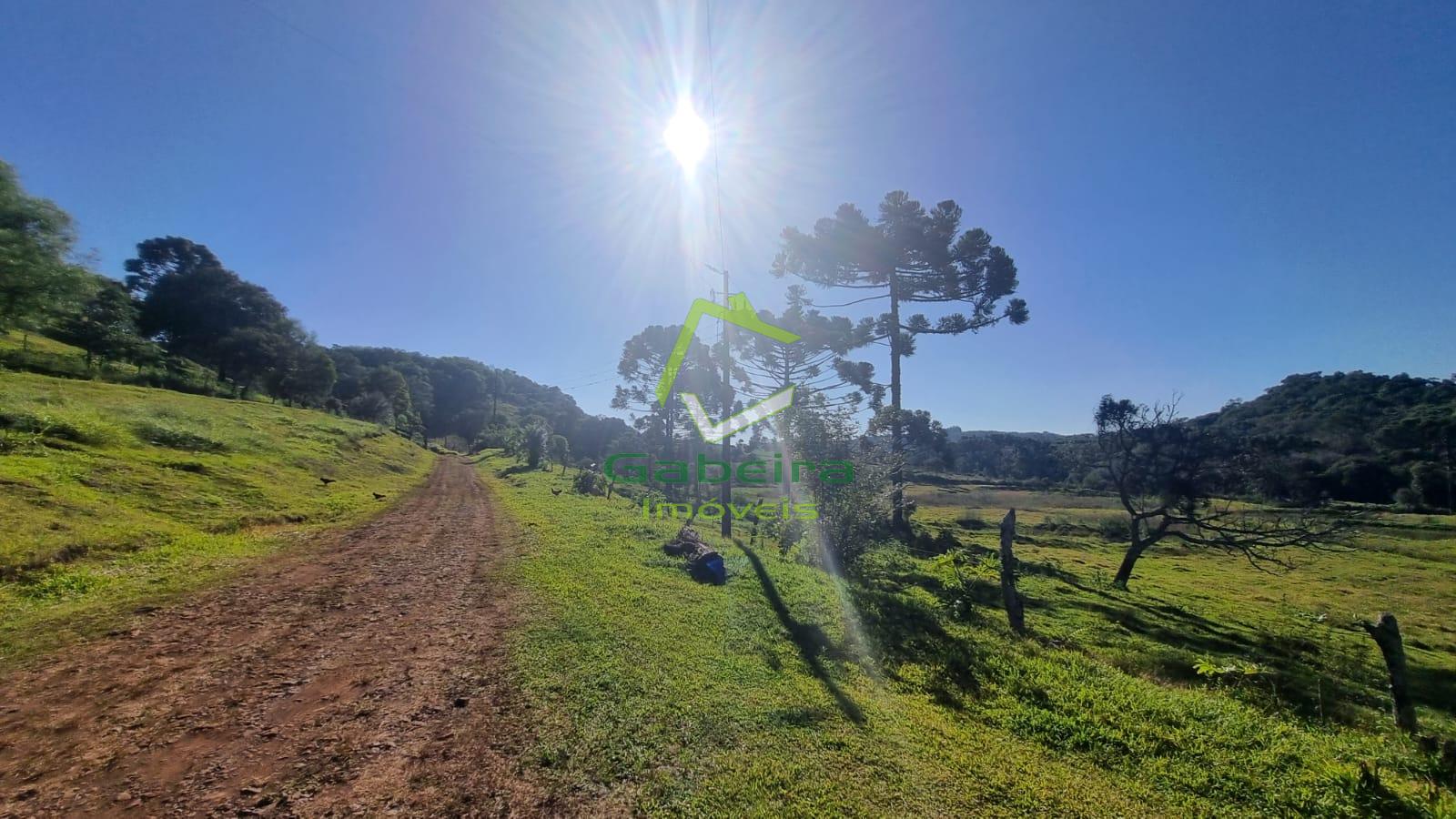Gabeira Imveis em Coronel Vivida PR