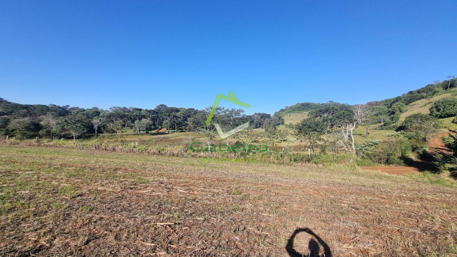 Gabeira Imveis em Coronel Vivida PR