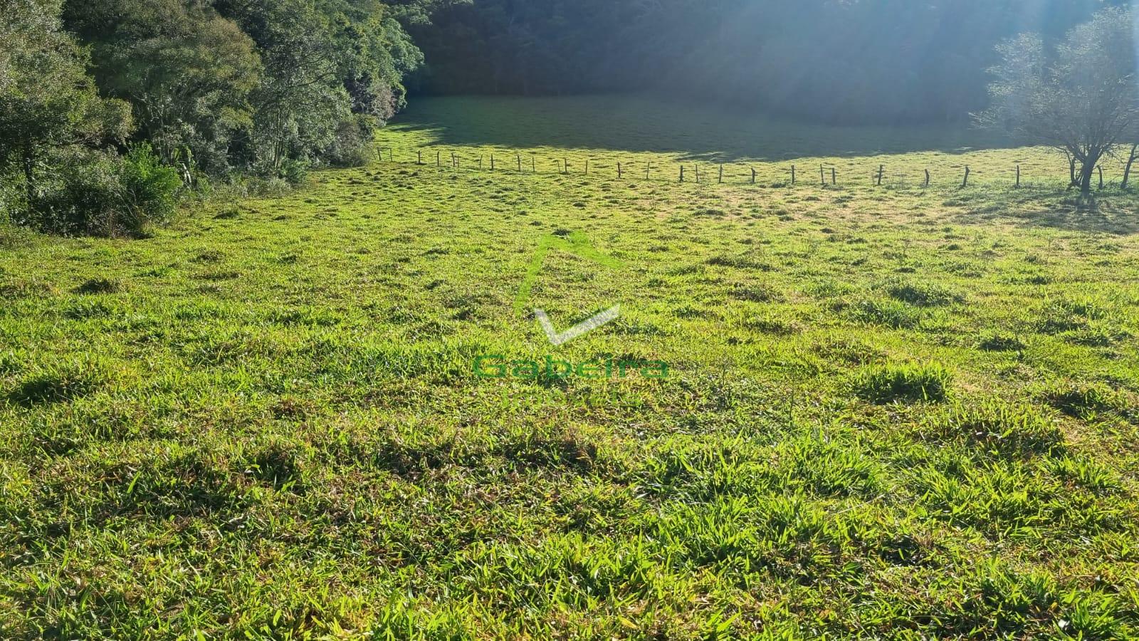 Gabeira Imveis em Coronel Vivida PR