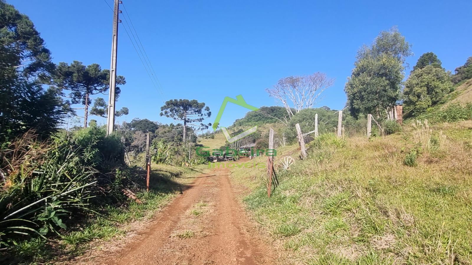 Gabeira Imveis em Coronel Vivida PR