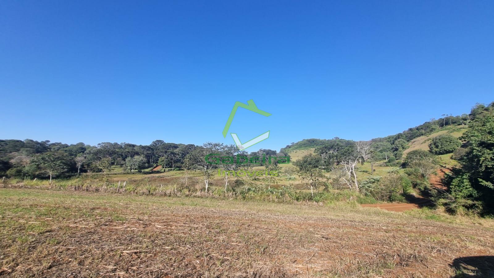 Gabeira Imveis em Coronel Vivida PR