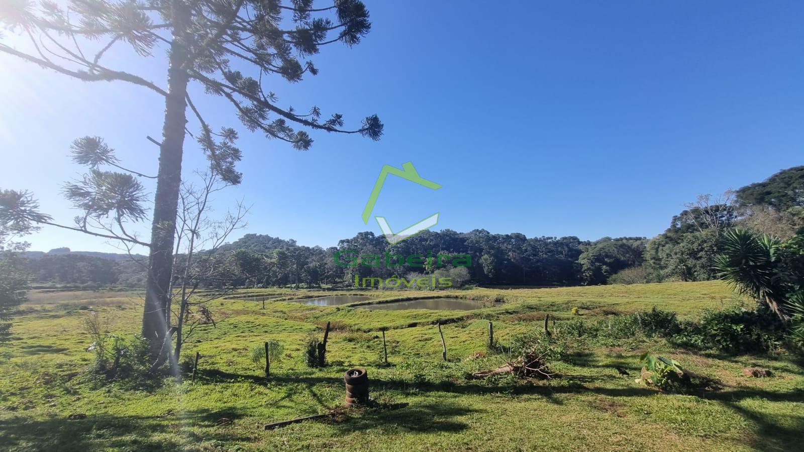 Gabeira Imveis em Coronel Vivida PR