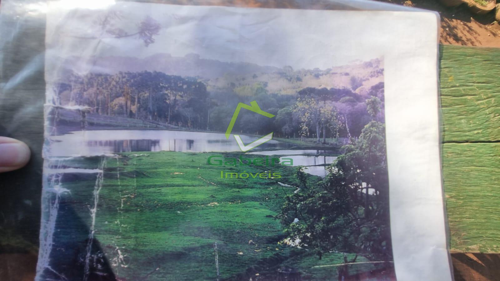 Gabeira Imveis em Coronel Vivida PR