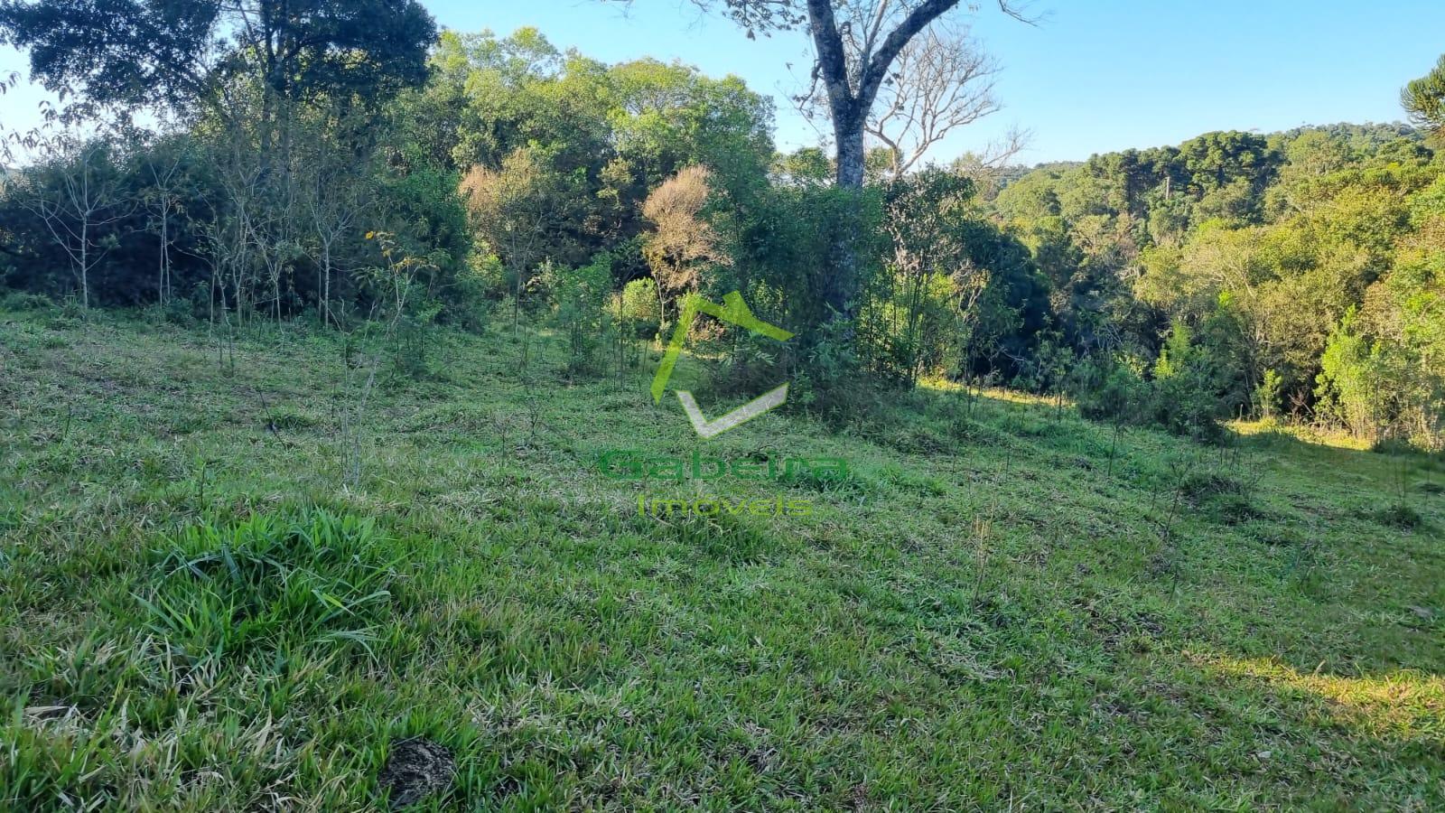 Gabeira Imveis em Coronel Vivida PR