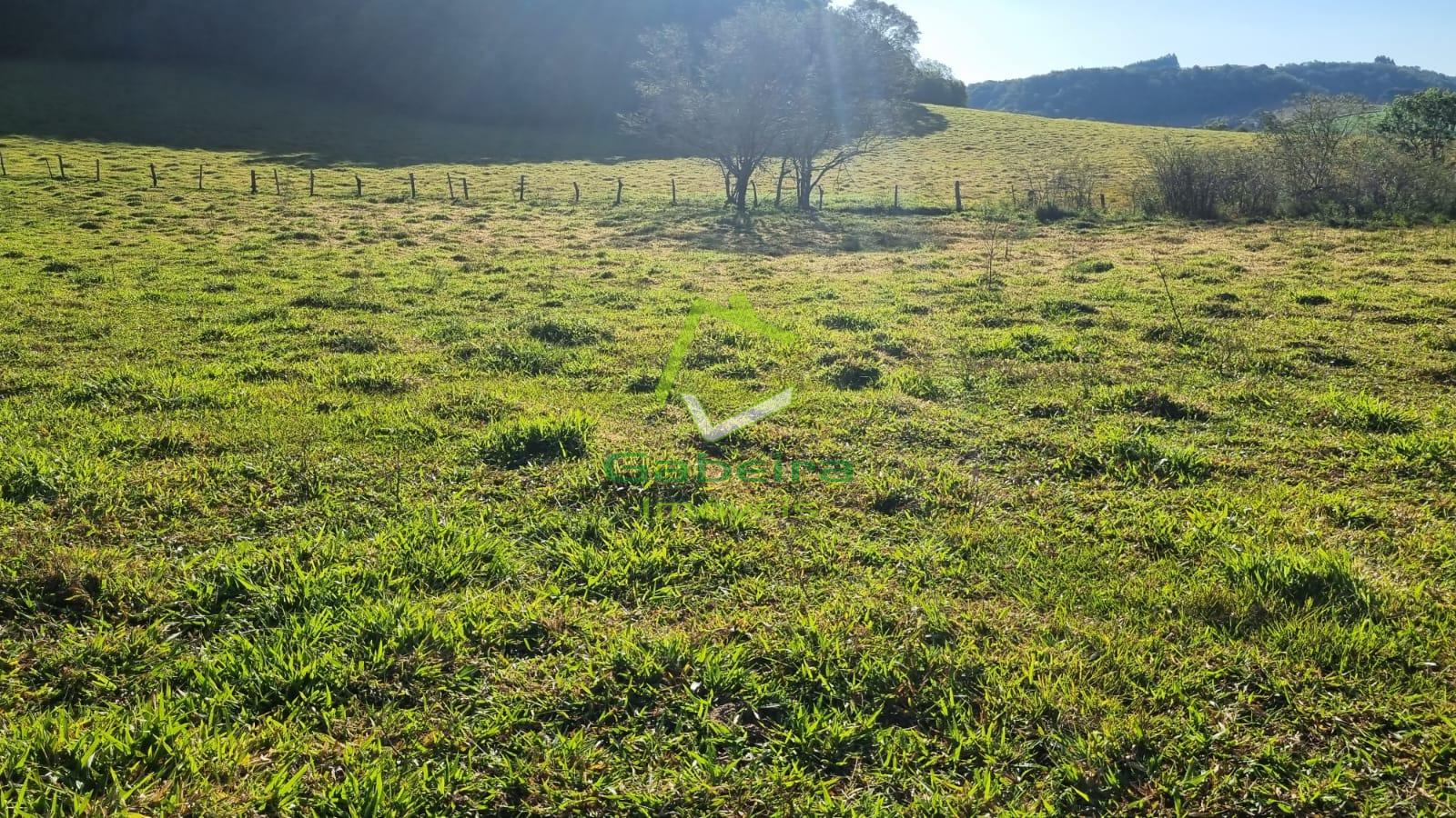 Gabeira Imveis em Coronel Vivida PR