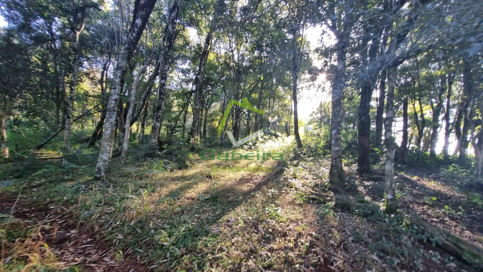 Gabeira Imveis em Coronel Vivida PR