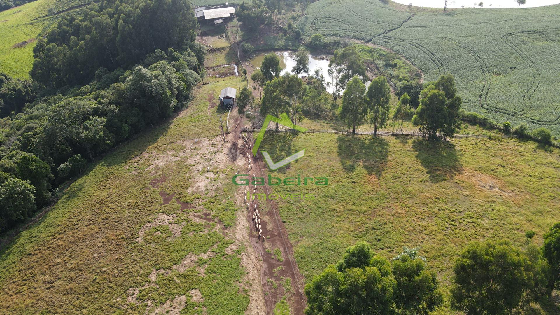 Gabeira Imveis em Coronel Vivida PR
