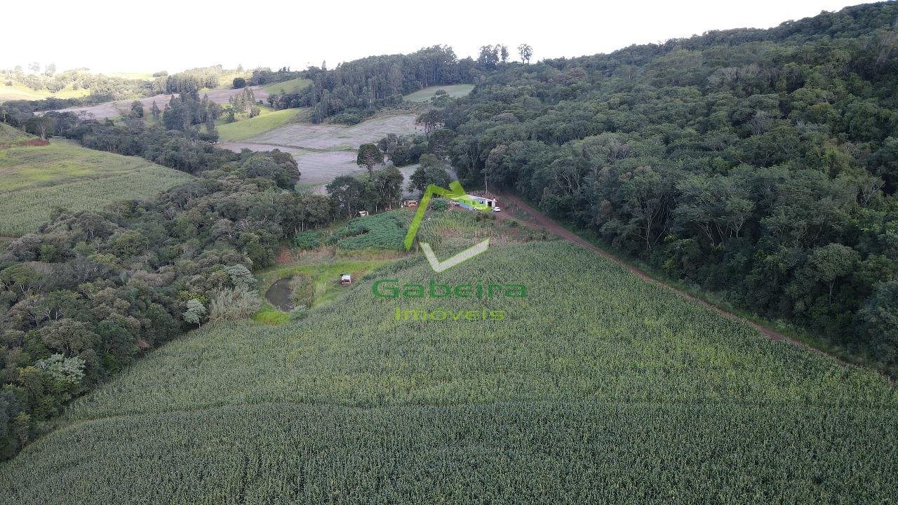 Gabeira Imveis em Coronel Vivida PR