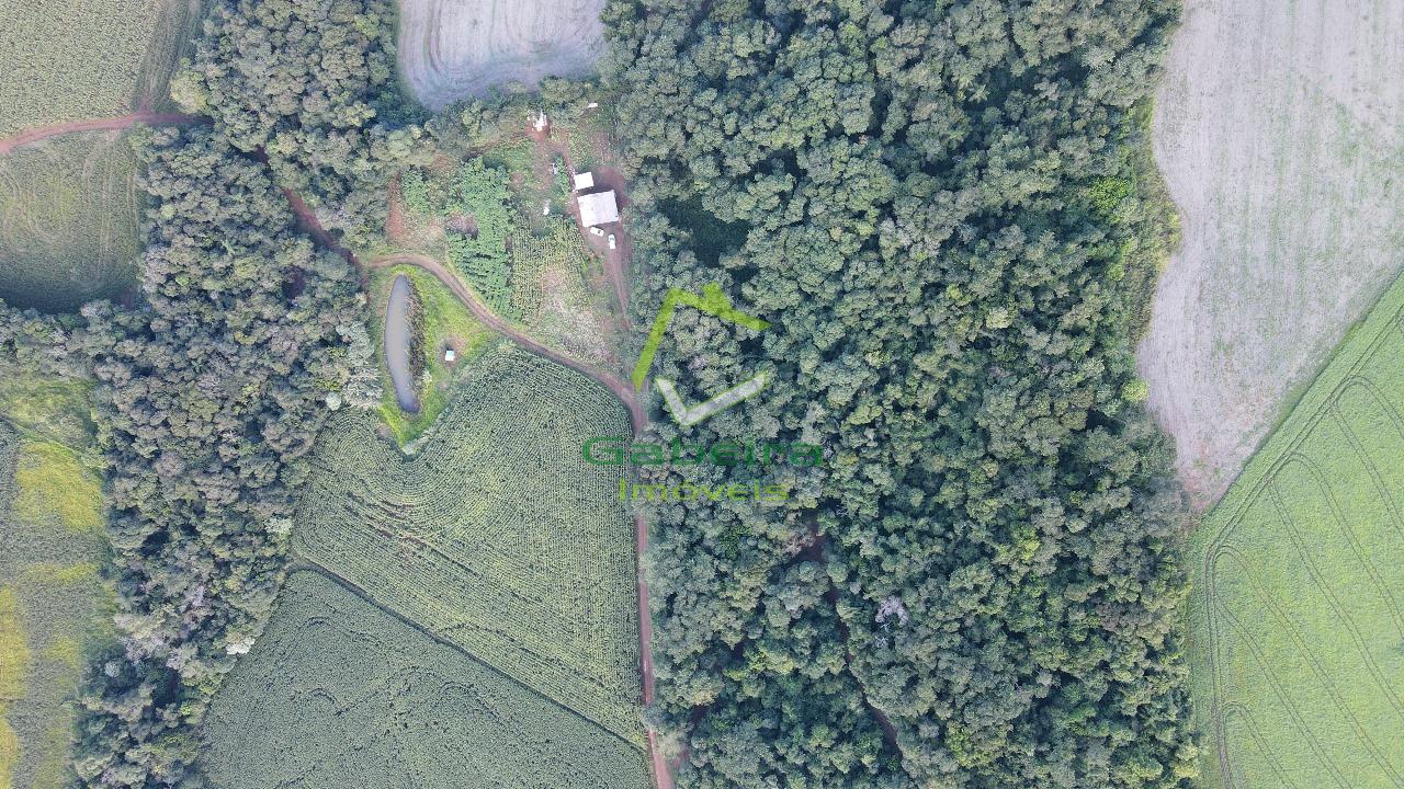 Gabeira Imveis em Coronel Vivida PR