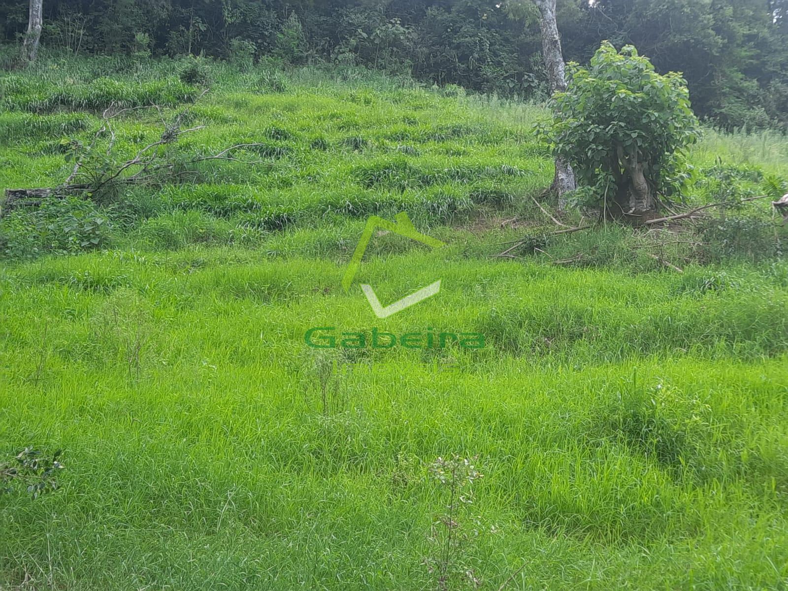 Gabeira Imveis em Coronel Vivida PR