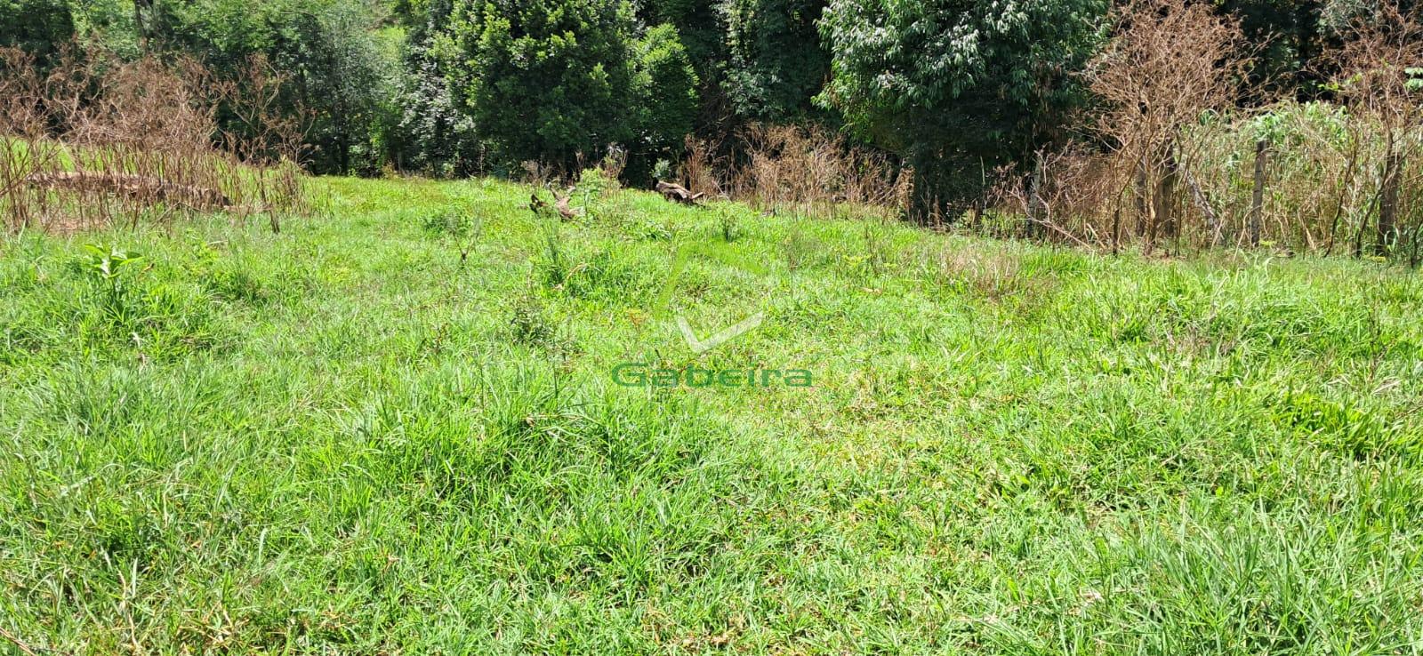 Gabeira Imveis em Coronel Vivida PR