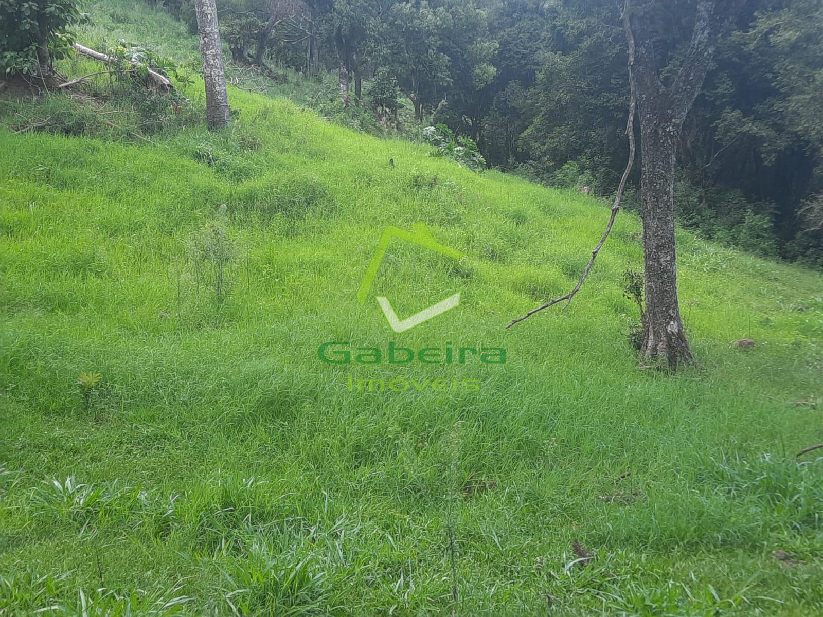 Gabeira Imveis em Coronel Vivida PR