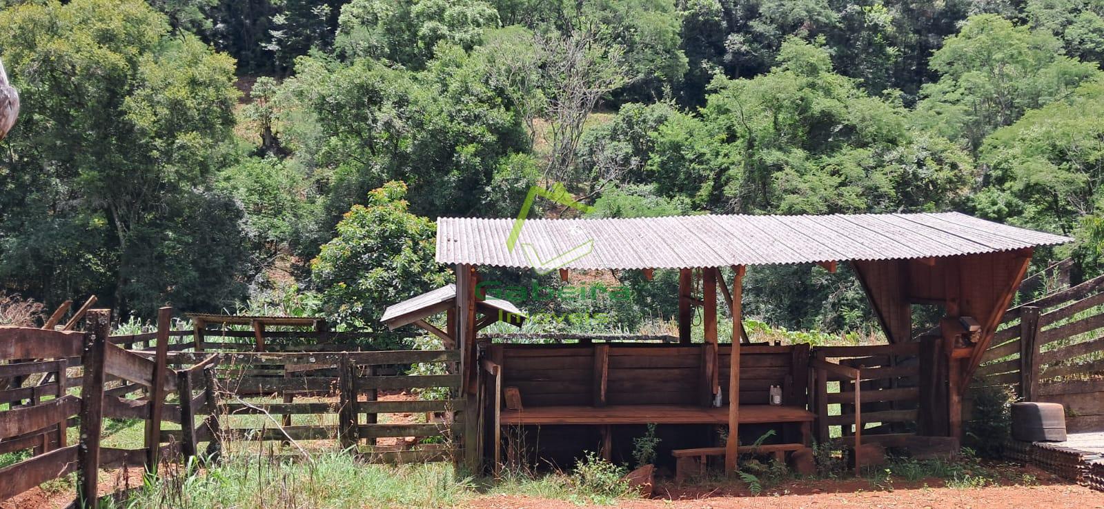 Gabeira Imveis em Coronel Vivida PR