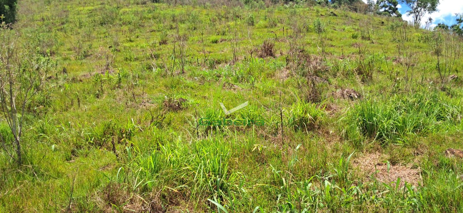 Gabeira Imveis em Coronel Vivida PR