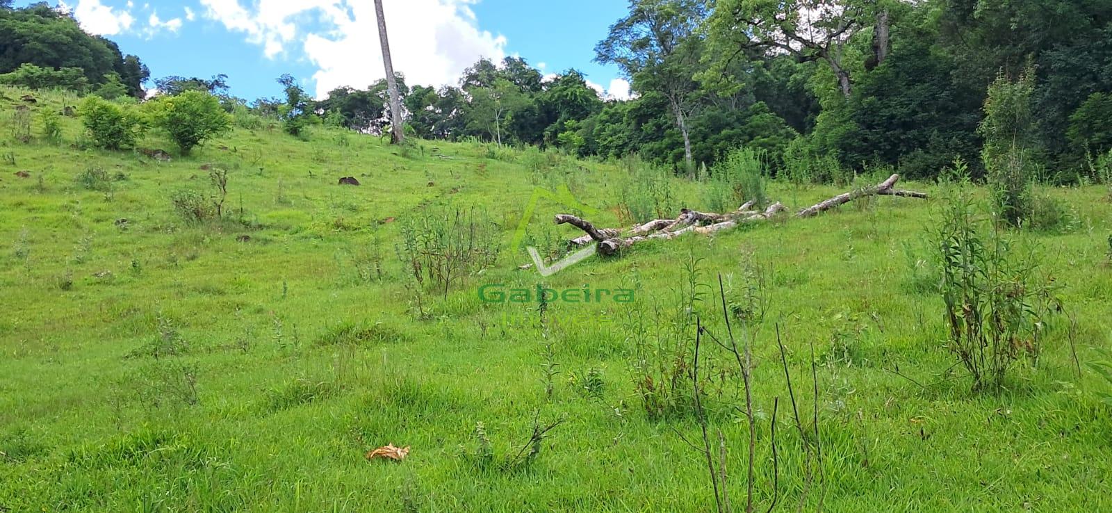 Gabeira Imveis em Coronel Vivida PR