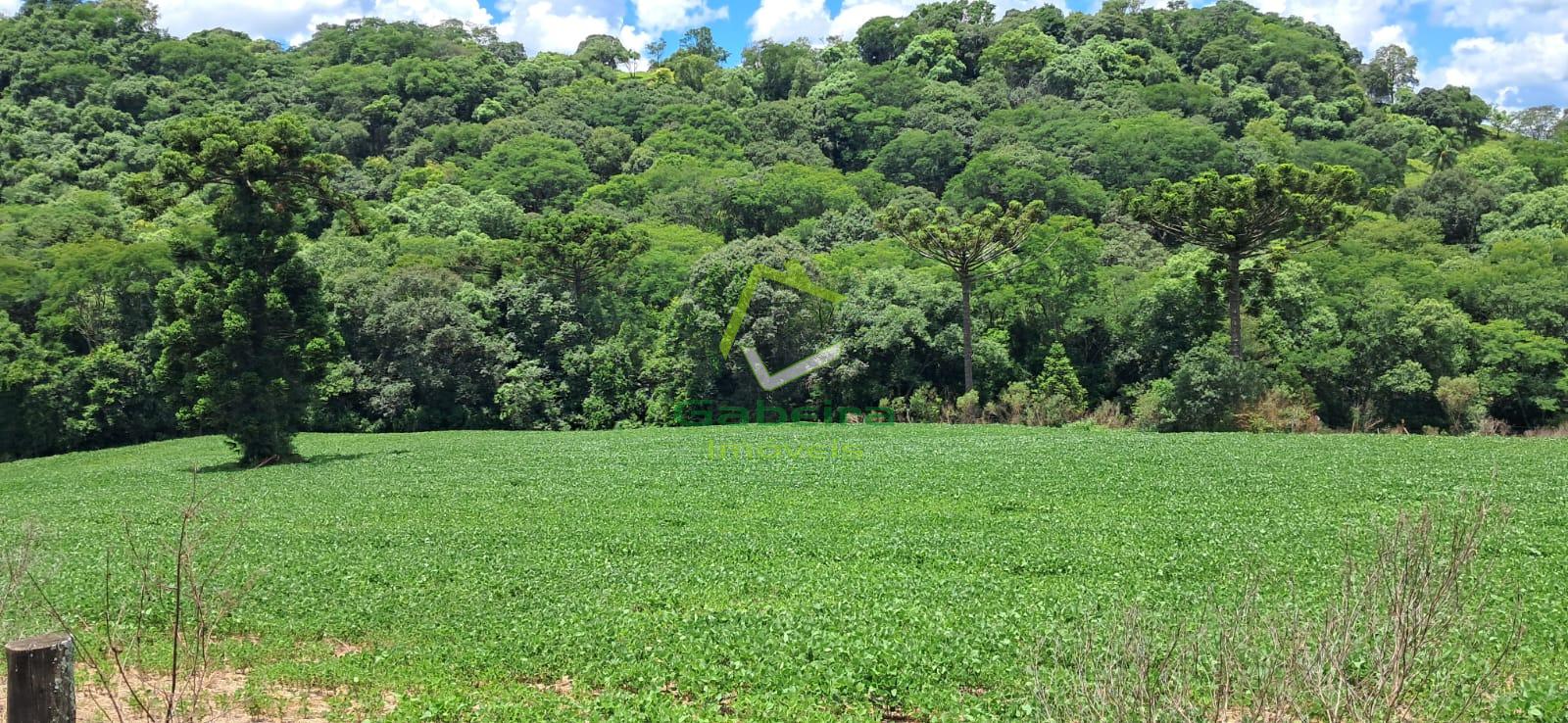 Gabeira Imveis em Coronel Vivida PR