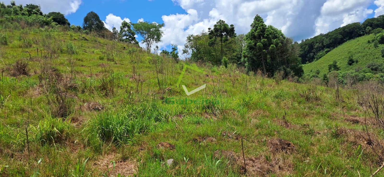 Gabeira Imveis em Coronel Vivida PR