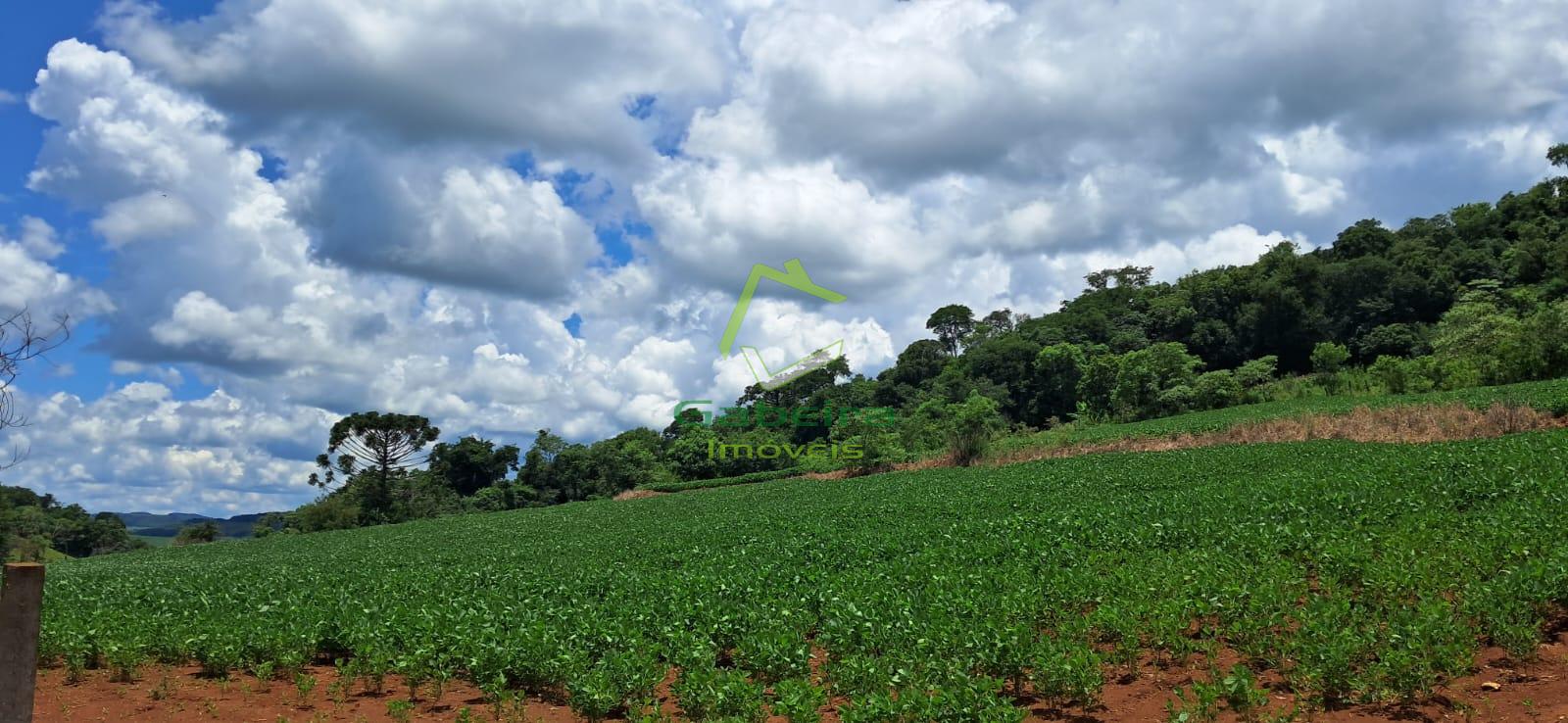 Gabeira Imveis em Coronel Vivida PR