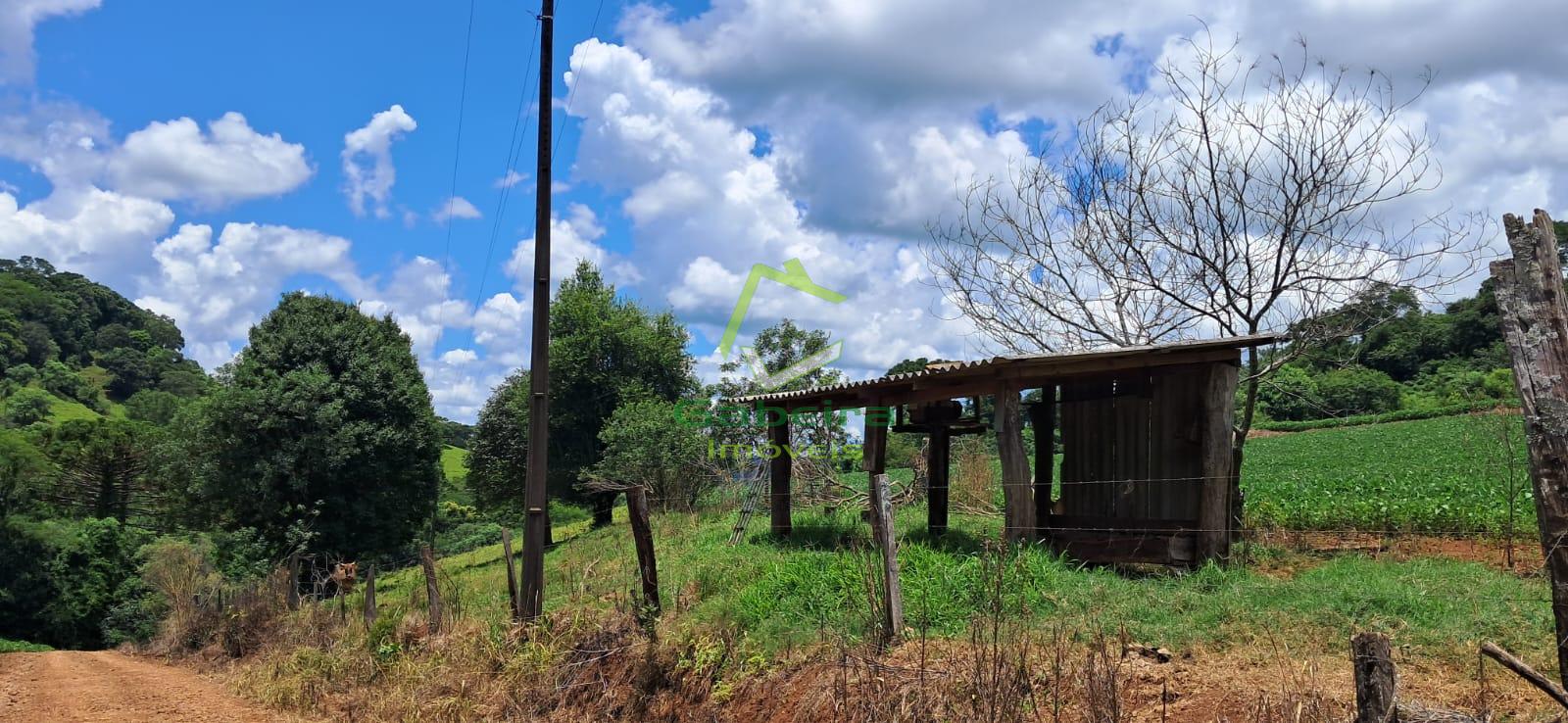 Gabeira Imveis em Coronel Vivida PR