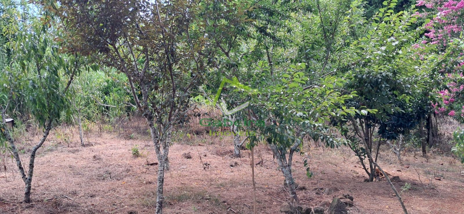 Gabeira Imveis em Coronel Vivida PR