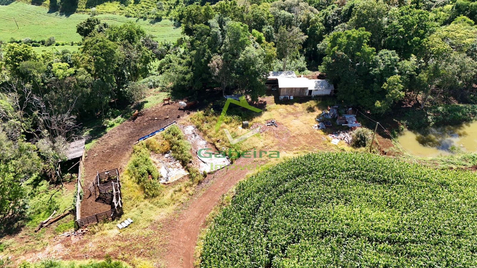 Gabeira Im�veis em Coronel Vivida PR