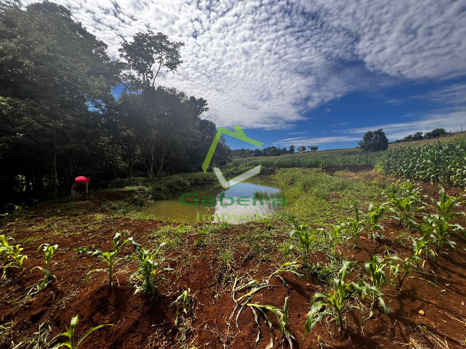 Gabeira Im�veis em Coronel Vivida PR