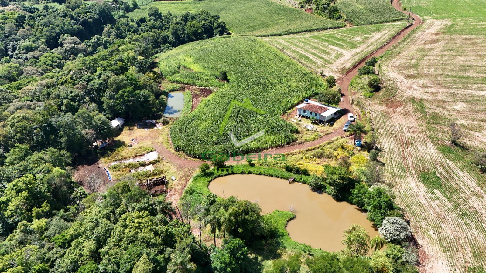 Ch�cara com 4 dormit�rios � venda, CORONEL VIVIDA - PR