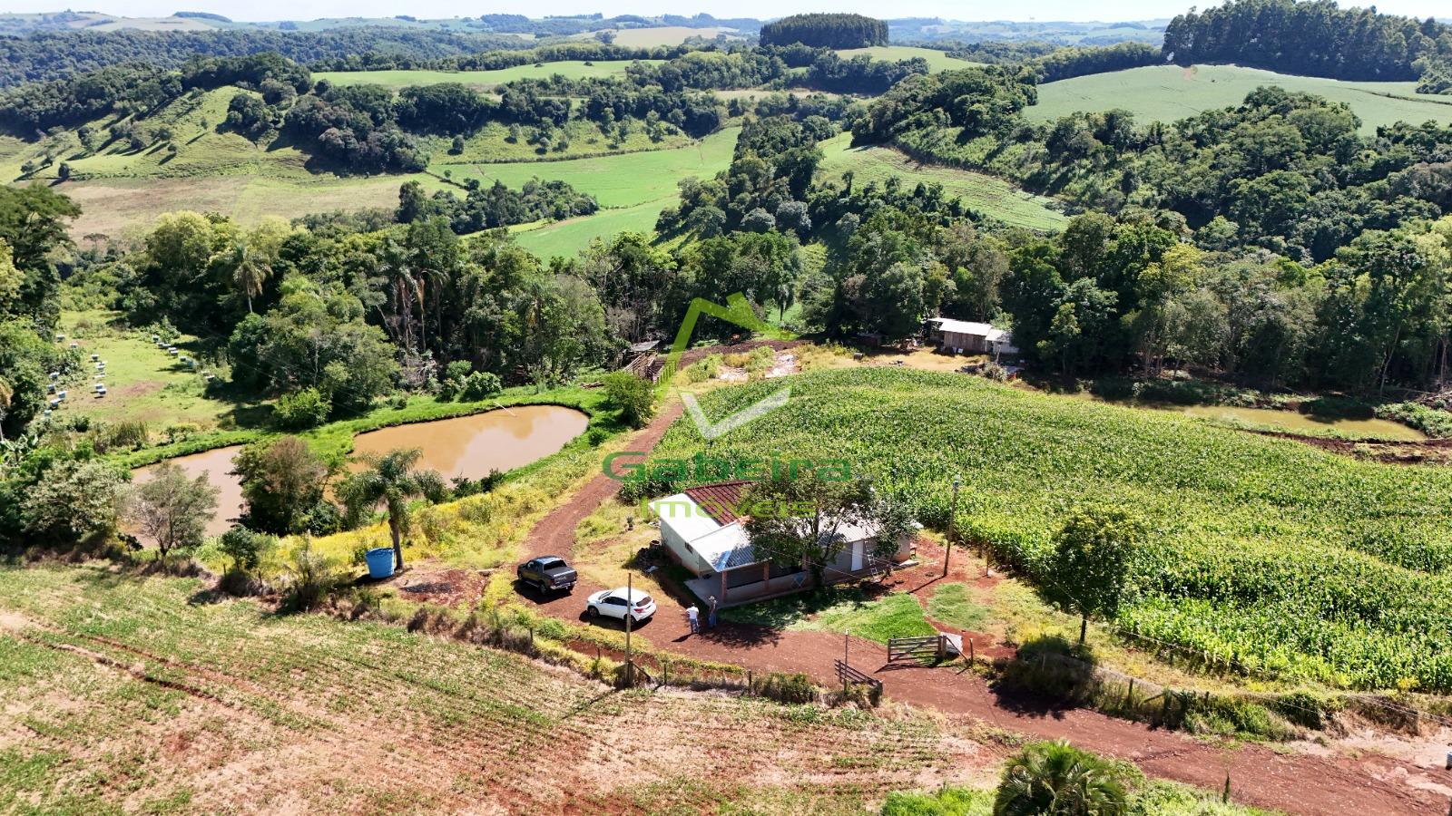 Gabeira Im�veis em Coronel Vivida PR