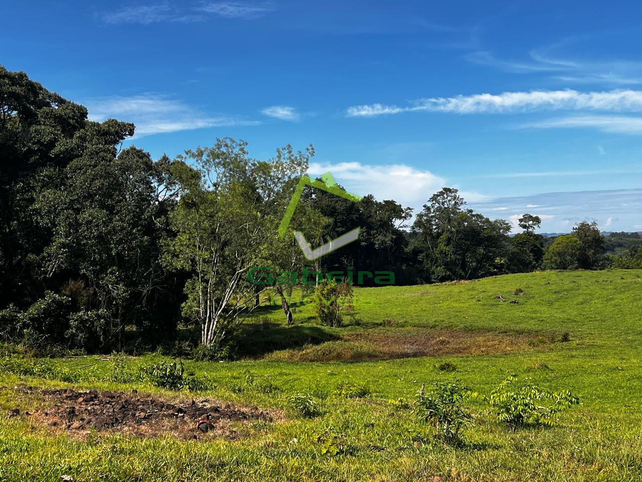 Gabeira Im�veis em Coronel Vivida PR