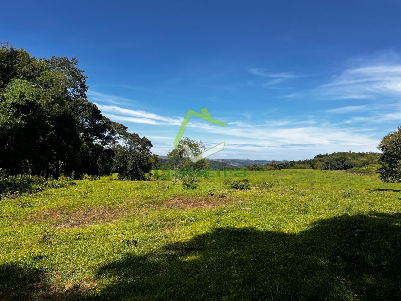 Gabeira Im�veis em Coronel Vivida PR