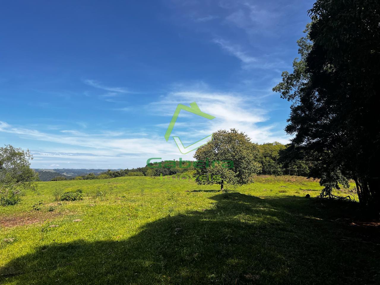 Gabeira Im�veis em Coronel Vivida PR