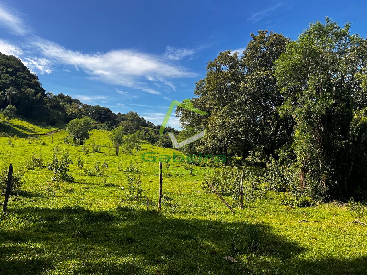 Gabeira Im�veis em Coronel Vivida PR