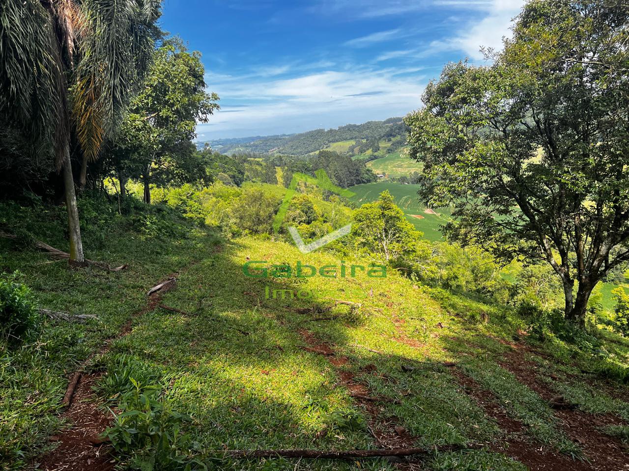 Gabeira Im�veis em Coronel Vivida PR