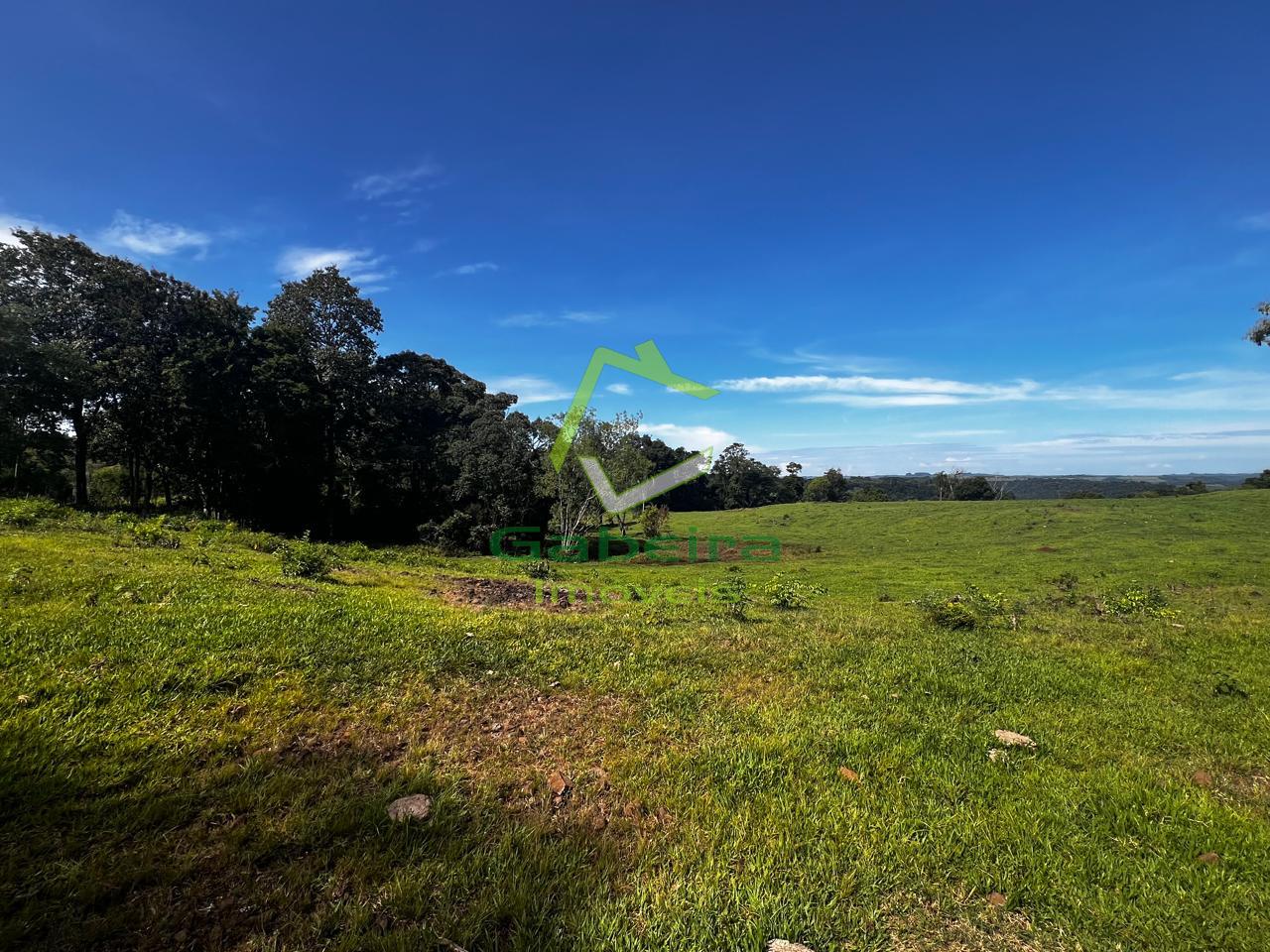 Gabeira Im�veis em Coronel Vivida PR