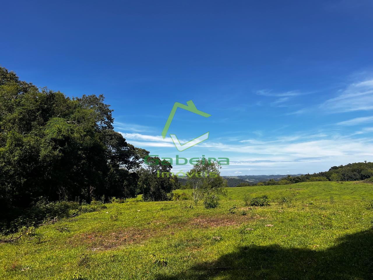 Gabeira Im�veis em Coronel Vivida PR