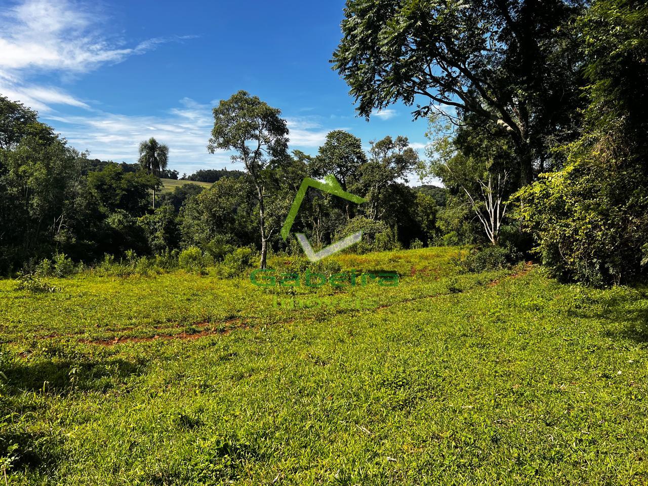 Gabeira Im�veis em Coronel Vivida PR