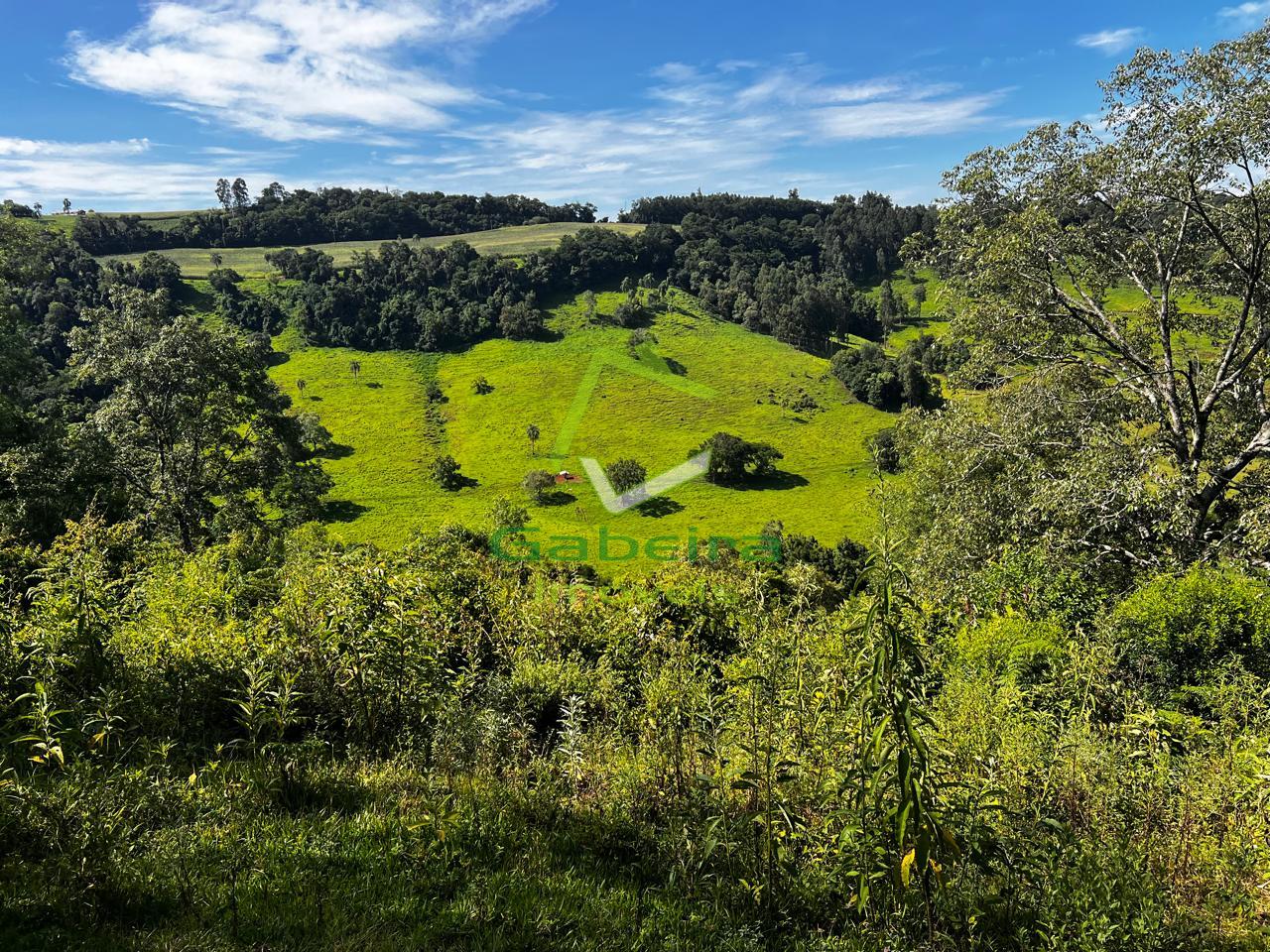 Gabeira Im�veis em Coronel Vivida PR