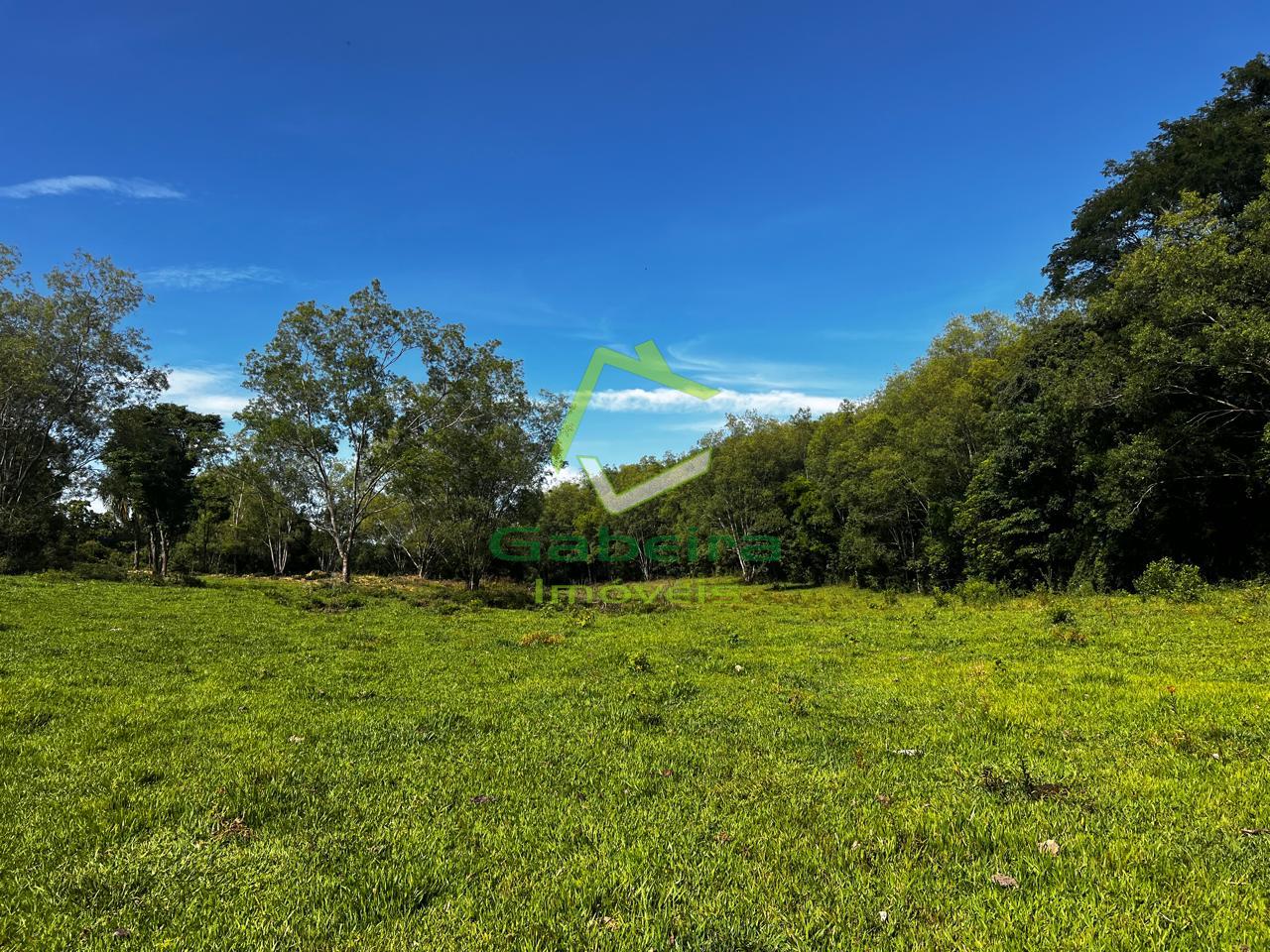 Gabeira Im�veis em Coronel Vivida PR