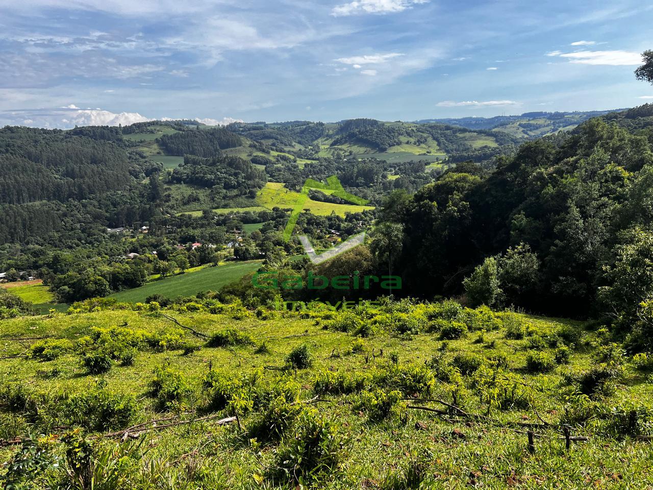 Terreno, FAZENDA PALMEIRINHA, CORONEL VIVIDA - PR