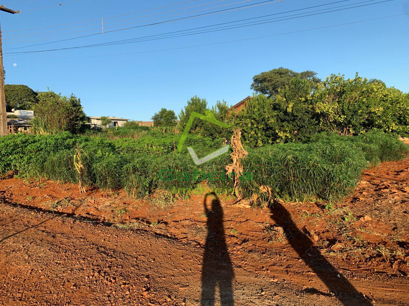 Gabeira Im�veis em Coronel Vivida PR