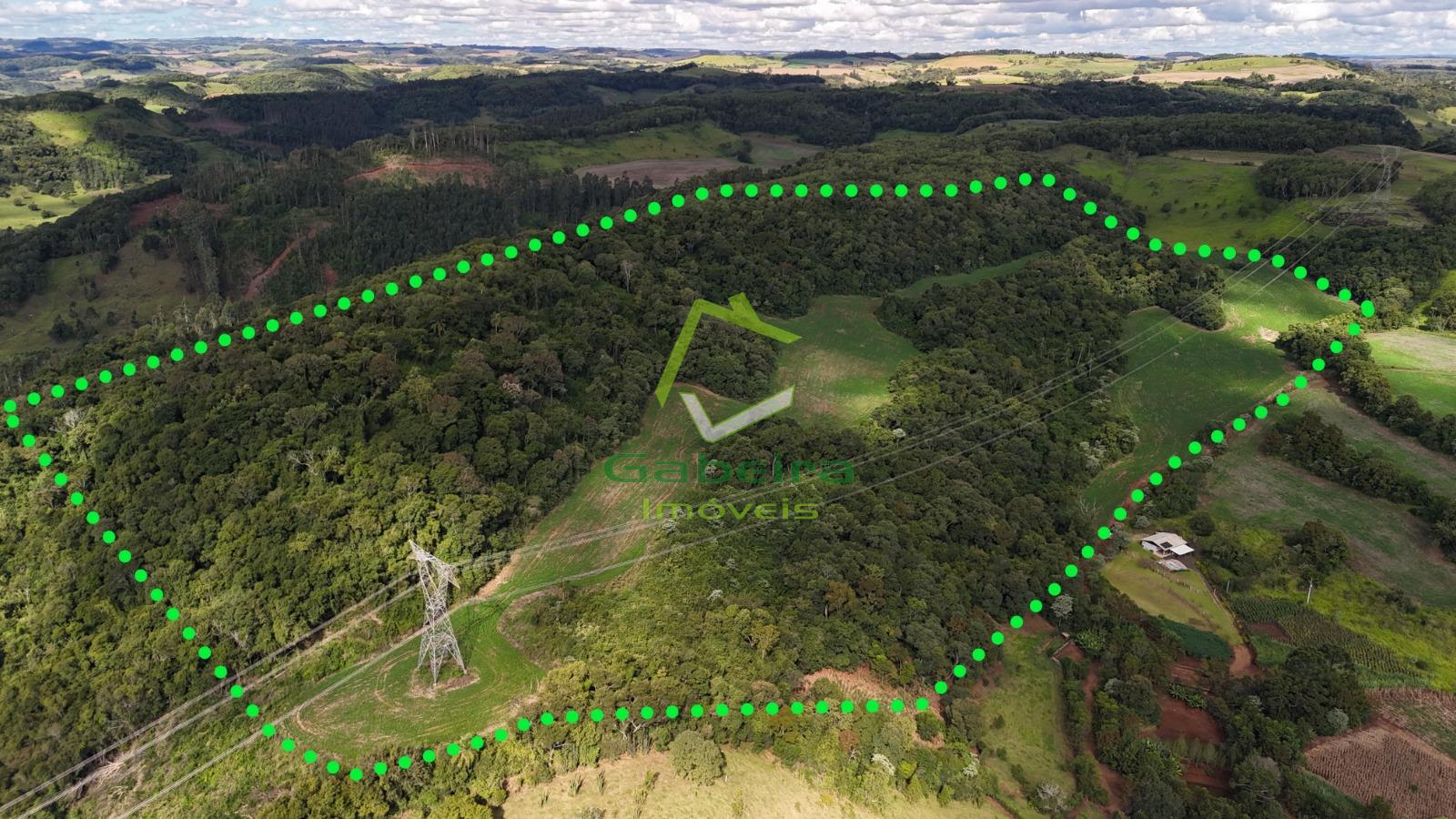 Rural � venda, ALTO CARAVAGGIO, CORONEL VIVIDA - PR